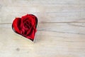 Red rose blossom in a heart shape cookie cutter, love concept for Valentine`s or Mother`s Day on rustic wood, copy space Royalty Free Stock Photo