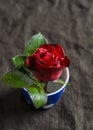 Red rose in a blue ceramic Cup on a dark surface Royalty Free Stock Photo