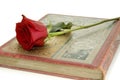 Red rose on book