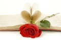 Red rose on a book Royalty Free Stock Photo