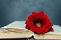 Red rose on a book with black background and wooden table Royalty Free Stock Photo