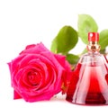 Red rose and a bottle of perfume isolated on white Royalty Free Stock Photo