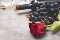 1 red rose, bottle of red wine, dark grapes, glass, hearts on a gray background Royalty Free Stock Photo