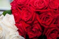 Red Rose Bouquet Royalty Free Stock Photo