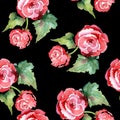 Red rose bouquet floral botanical flowers. Watercolor background illustration set. Seamless background pattern. Royalty Free Stock Photo
