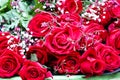 Red rose  bouquet colorful flower closeup background Royalty Free Stock Photo