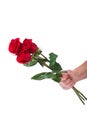 Red rose bouquet flower in hand men isolated with clipping path Royalty Free Stock Photo