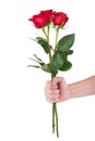 Red rose bouquet flower in hand men isolated with clipping path Royalty Free Stock Photo