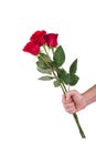 Red rose bouquet flower in hand men isolated with clipping path Royalty Free Stock Photo