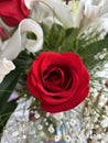 Red rose with lilies and green leaves