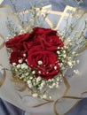 Red rose bouquet love valentines anniversary baby breath gift