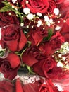 Red rose bouquets for Valentines Day Royalty Free Stock Photo