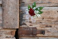 Boutonniere with red rose and green leaves Royalty Free Stock Photo