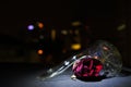 Red Rose Broken Glass Night Bokeh