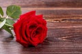 Red rose on brown wooden background. Royalty Free Stock Photo