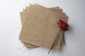 Red Rose on Burlap Fabric Royalty Free Stock Photo