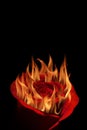 Red rose burning with hot flames, isolated on black Royalty Free Stock Photo