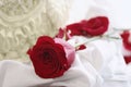 Red rose and cake, wedding or valentine concept Royalty Free Stock Photo