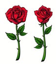 Red rose cartoon Royalty Free Stock Photo
