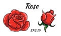 Red rose cartoon style on a white background Royalty Free Stock Photo