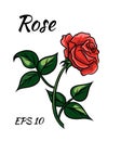 Red rose cartoon style on a white background Royalty Free Stock Photo