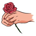 Red rose cartoon style on a white background. Royalty Free Stock Photo