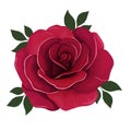 Red rose cartoon Royalty Free Stock Photo