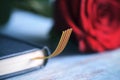 Red rose, catalan flag and book Royalty Free Stock Photo