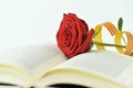 Red rose and catalan flag in an open book Royalty Free Stock Photo