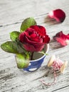 Red rose in ceramic glass Royalty Free Stock Photo