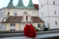 Red rose and church