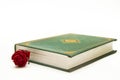 Red rose in close book Royalty Free Stock Photo