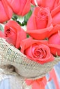 Red rose Royalty Free Stock Photo