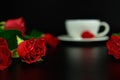 Red rose with cup of coffee in the evening. Royalty Free Stock Photo