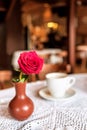Red rose and cup of coffee Royalty Free Stock Photo