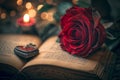 A red rose delicately rests atop an open book Royalty Free Stock Photo