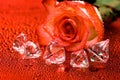 Red rose and diamond crystals Royalty Free Stock Photo