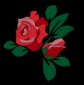 Red rose embroidery Royalty Free Stock Photo