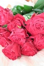 Red rose Royalty Free Stock Photo