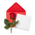 Red rose in red envelope with blank card isolated on white background Royalty Free Stock Photo