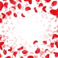 Red rose falling scattered petals wedding vector background