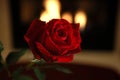 Red rose with fire place Royalty Free Stock Photo