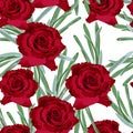 Red rose floral seamless pattern texture. Royalty Free Stock Photo