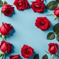 Red rose flower on blue background, Valentine\'s day greeting card Royalty Free Stock Photo