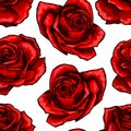 Red rose flower bouquets contour elements seamless pattern on white background Royalty Free Stock Photo