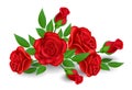 Red rose flower with bud and leaf Royalty Free Stock Photo