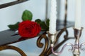 Red rose flower and candles on a metal staircase