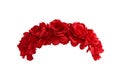 Red Rose Flower Crown front view isolated on white background with clipping paths Royalty Free Stock Photo