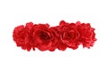 Red Rose Flower Crown front view isolated on white background with clipping paths Royalty Free Stock Photo