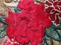 Red rose flower drow with thread